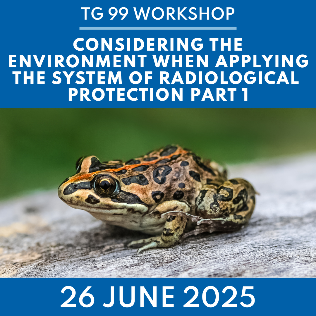 TG99 Workshop: 26 June 2025